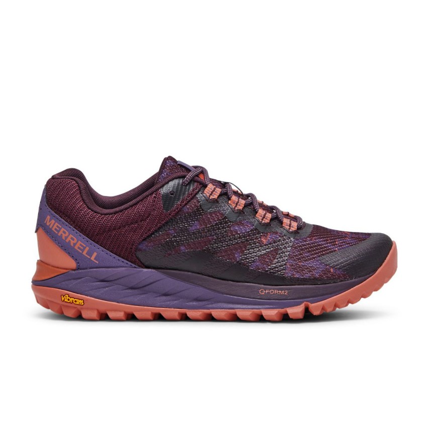 Basket Merrell Antora 2 Bordeaux/Violette Femme | V.T.LXML